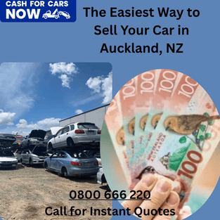 Car in Auckland